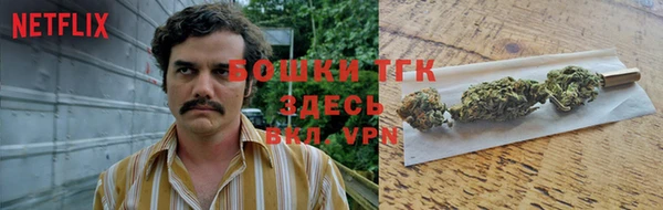 гидропоника Верея