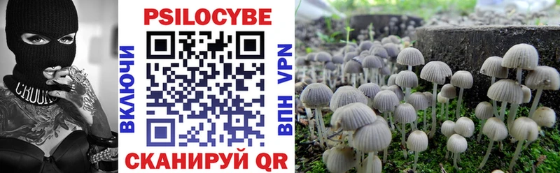 где купить наркотик  Назарово  Псилоцибиновые грибы Cubensis 